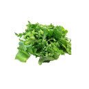 Ice lettuce-romaine-rucola 500g 06416124791443